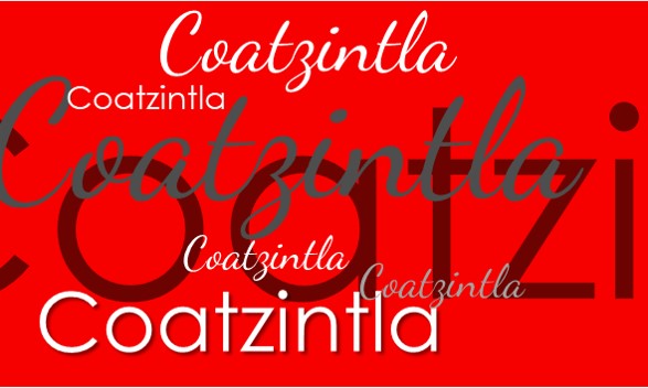 Coatzintla