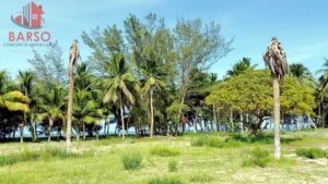 Terreno en venta, Isla de Los Potreros, fracción 3 lote 26, Termoeléctrica Adolfo López Mateos; Tuxpan, Veracruz