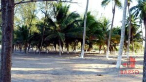 Terreno en venta, Isla de Los Potreros, fracción 3 lote 26, Termoeléctrica Adolfo López Mateos; Tuxpan, Veracruz