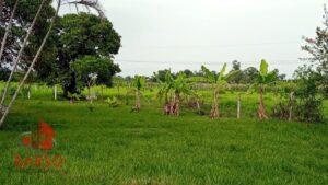 Terreno en venta, calle Adolfo López Mateos, Tlahuanapa; Papantla Veracruz