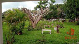 Terreno en venta, calle Adolfo López Mateos, Tlahuanapa; Papantla Veracruz