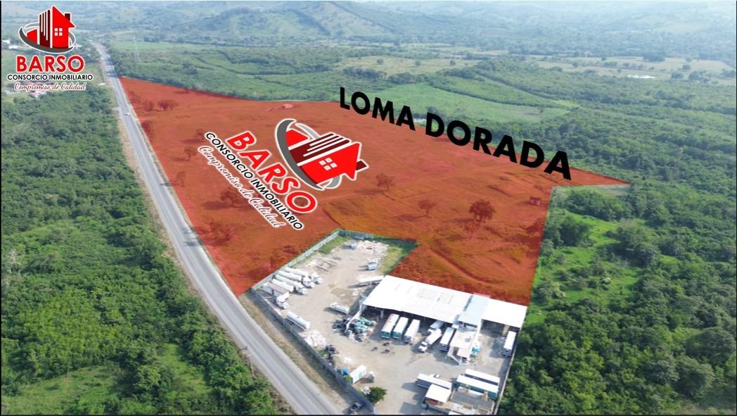 Barso Consorcio Inmobiliario | Loma Dorada - motivo