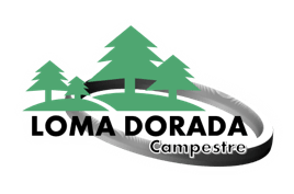 Barso Consorcio Inmobiliario | Loma Dorada - logotipo