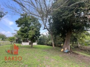 Finca en venta, El Zapote; Cazones, Veracruz