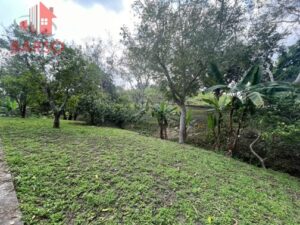 Finca en venta, El Zapote; Cazones, Veracruz