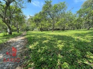 Finca en venta, El Zapote; Cazones, Veracruz