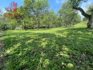 Finca en venta, El Zapote; Cazones, Veracruz