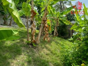 Casa en venta, carretera costera del Golfo; Poza Rica, Veracruz