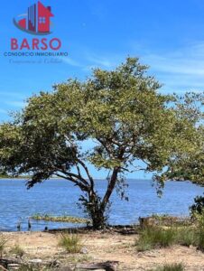 Terreno en venta con cabaña; Barra de Cazones, Veracruz