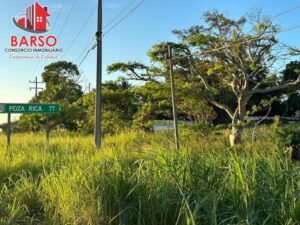 Terreno en venta, El Palmar, Carretera Poza Rica-Veracruz