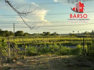 Terreno en venta, El Palmar, Carretera Poza Rica-Veracruz