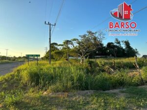 Terreno en venta, El Palmar, Carretera Poza Rica-Veracruz