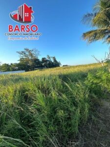 Terreno en venta, El Palmar, Carretera Poza Rica-Veracruz