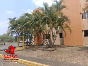 Edificio en renta, Carretera Lázaro Cárdenas, Ricardo Flores Magón; Tihuatlán, Veracruz