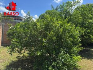 Casa en venta, Calle 8, Cazones; Poza Rica de Hidalgo, Veracruz