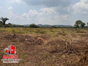 Terreno en venta en Tihuatlán, Veracruz; Paso del Pital, 3 hectáreas